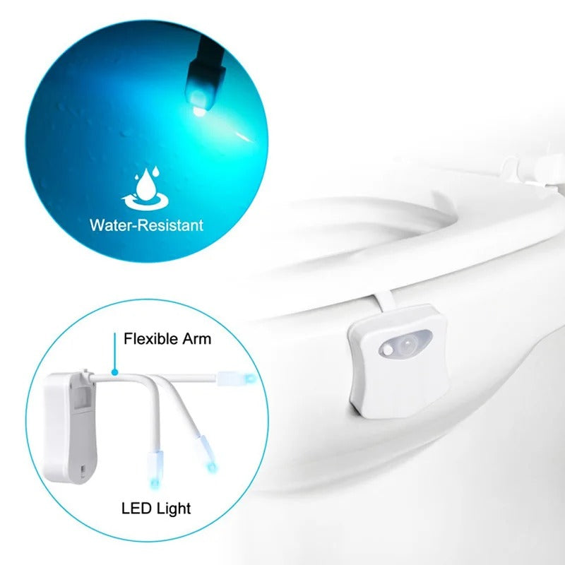 Motion Sensor Toilet Night Light